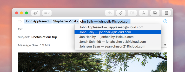 Token Field in macOS Mail